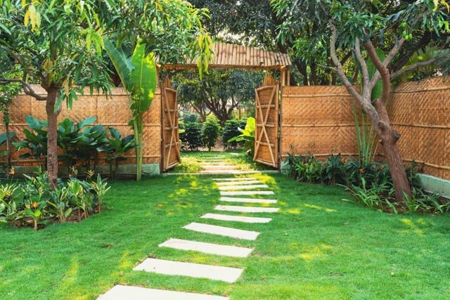 Bamboo villas